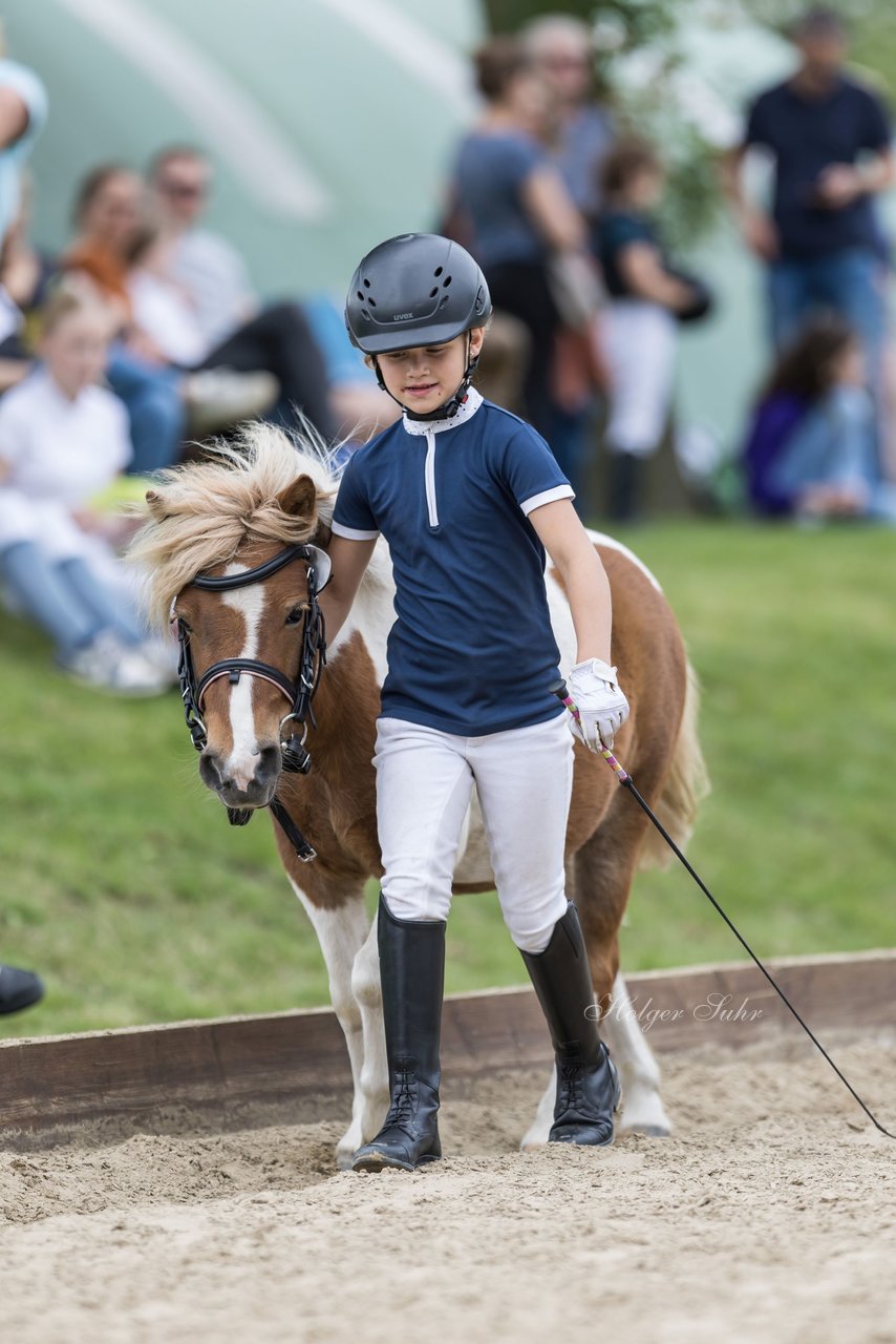 Bild 185 - Pony Akademie Turnier